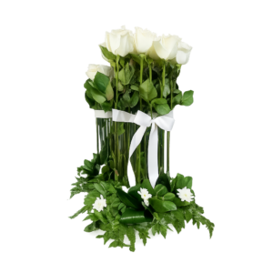 Ivory Elegance