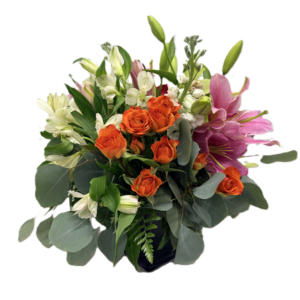 Vibrant Bloom